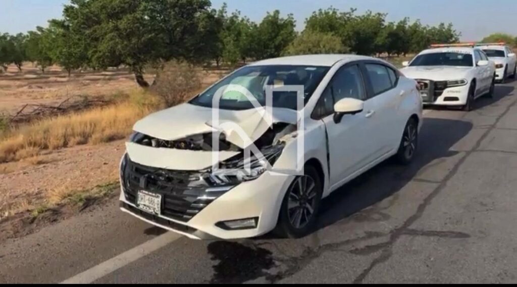 Venado provoca accidente en la carretera Parral–Jiménez; pareja resulta ilesa