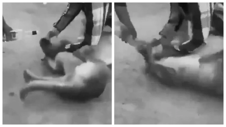 VIDEO: Someten a perro callejero y lo fuerzan a ingerir alcohol