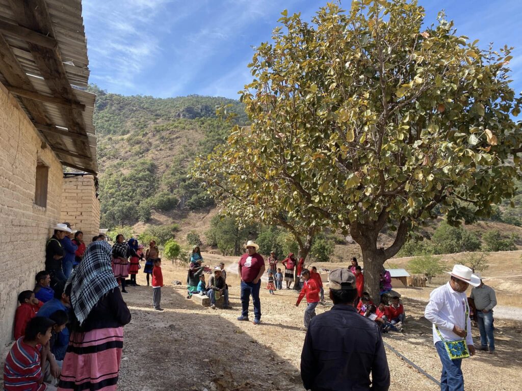 Indígenas votan contra PRI y PAN en Durango