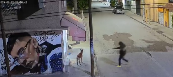 VIDEO: Hombre dispara a sangre fría contra un perrito callejero y se da a la fuga