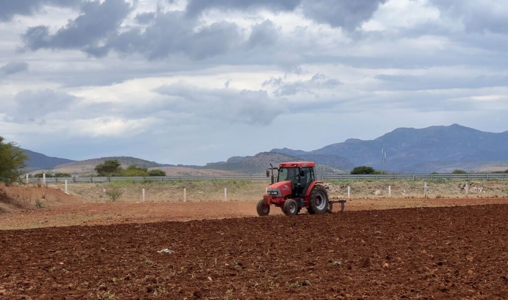 Tormenta tropical Flossie traerá lluvias intensas a Durango; productores inician labores de siembra en la región llanera