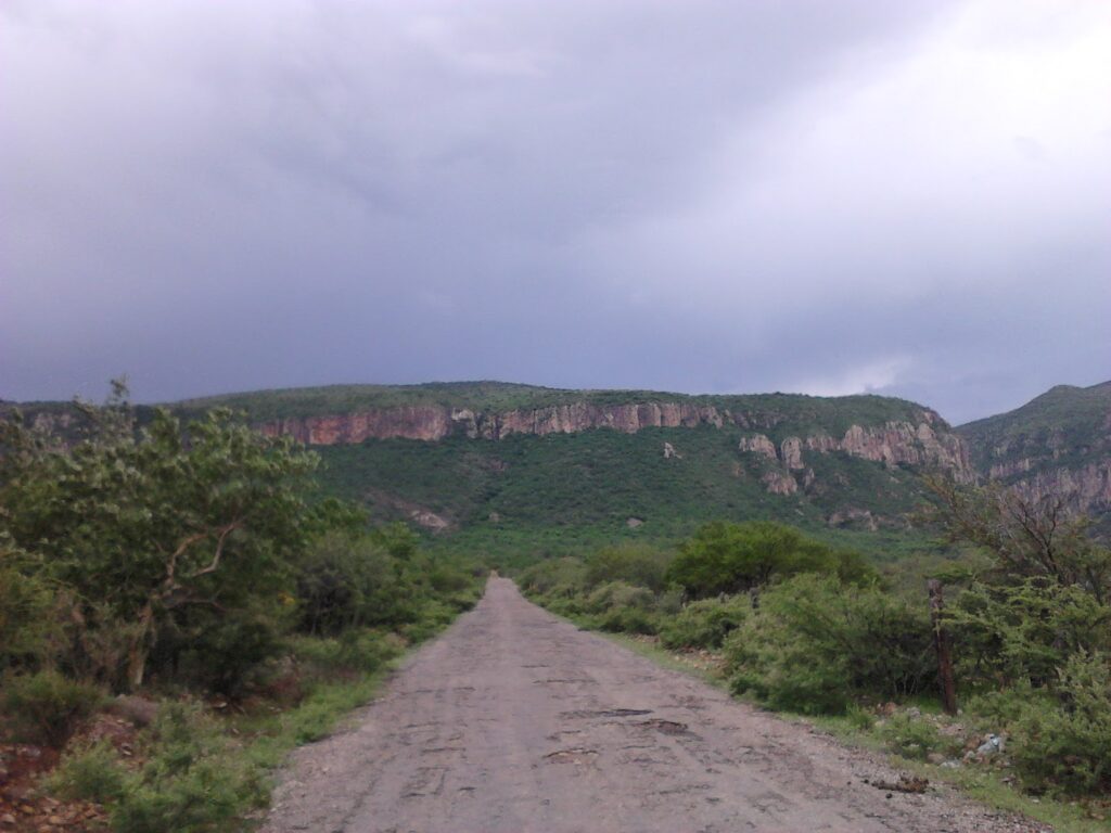 Carretera Mezquital-Tepic, abandonada desde que la entregó EPN en 2013: Bernabé Aguilar