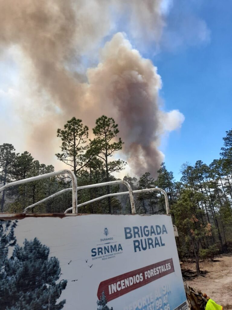 Tras devastadores incendios en Durango, exigen apoyo federal para reforestar