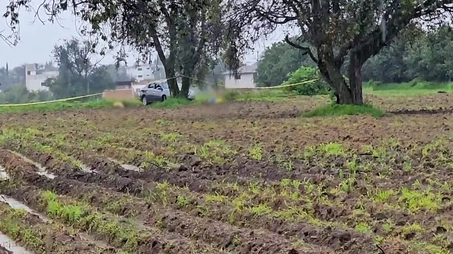 Hallan tres cadáveres con huellas de violencia en auto accidentado en Puebla
