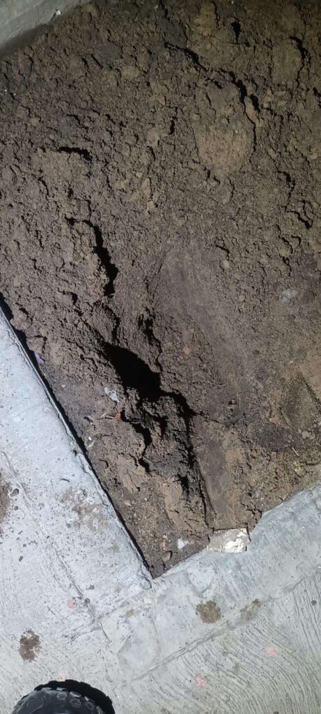 Aborto provocado por agresión en Juárez; feto fue enterrado en casa