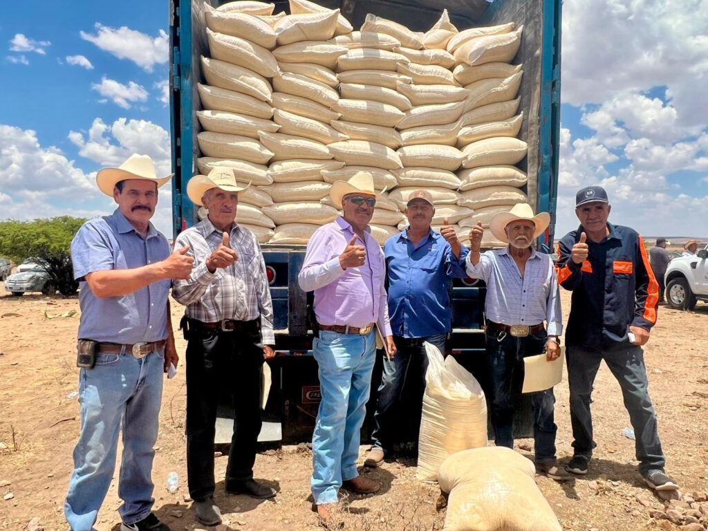 Recomiendan a ganaderos combinar maíz molido con proteína y forraje