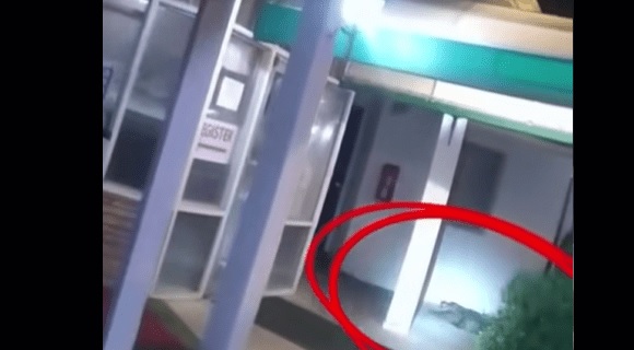 Caimán sorprende en hotel de Fairfax: operativo policial exitoso