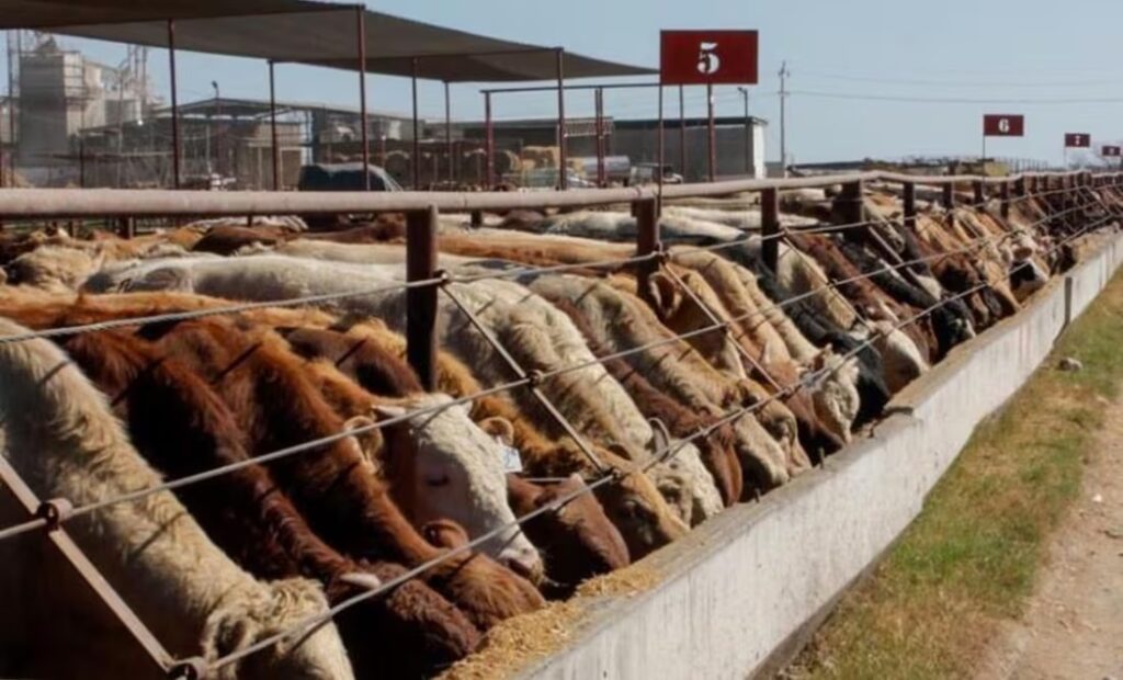 Capacitan a más de 100 especialistas para prevenir y controlar el gusano barrenador