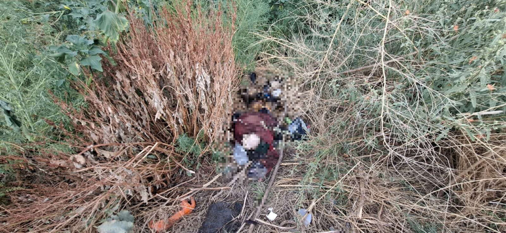 Niños hallan cadáver en parque de Ciudad Juárez