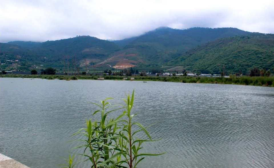 Conmemoran 20 años de la Laguna de Zapotlán como sitio Ramsar
