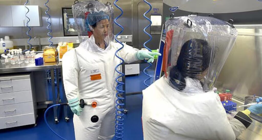 Científicos advierten sobre un nuevo coronavirus: HKU5-CoV-2