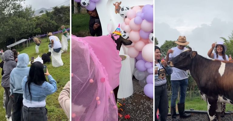 VIDEO: Vaca “María Patricia” celebra su cumpleaños con vestido rosa y fiesta de ensueño
