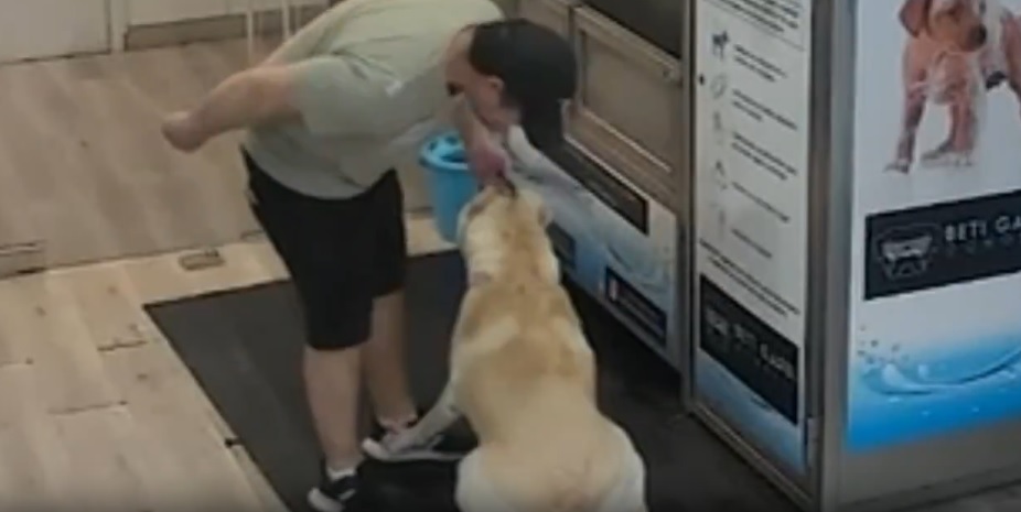 VIDEO: “Creyó que nadie lo veía”: Brutal agresión a perrita en lavandería canina desata indignación