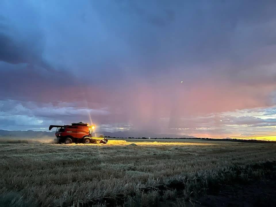 Lluvias insuficientes, pero positivas para el campo en Durango: SAGDR