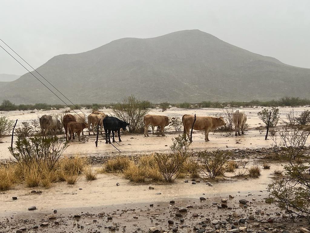 Prevén temporal de lluvias en Durango por huracán Bárbara