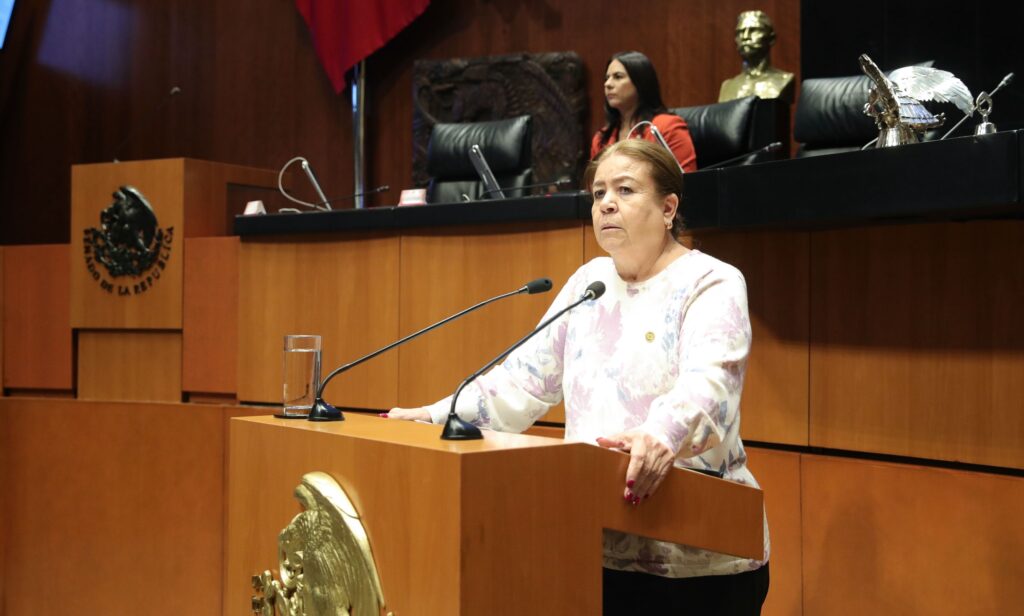 125 mil desaparecidos: Senado aprueba reforma histórica: senadora Valdez (Morena)