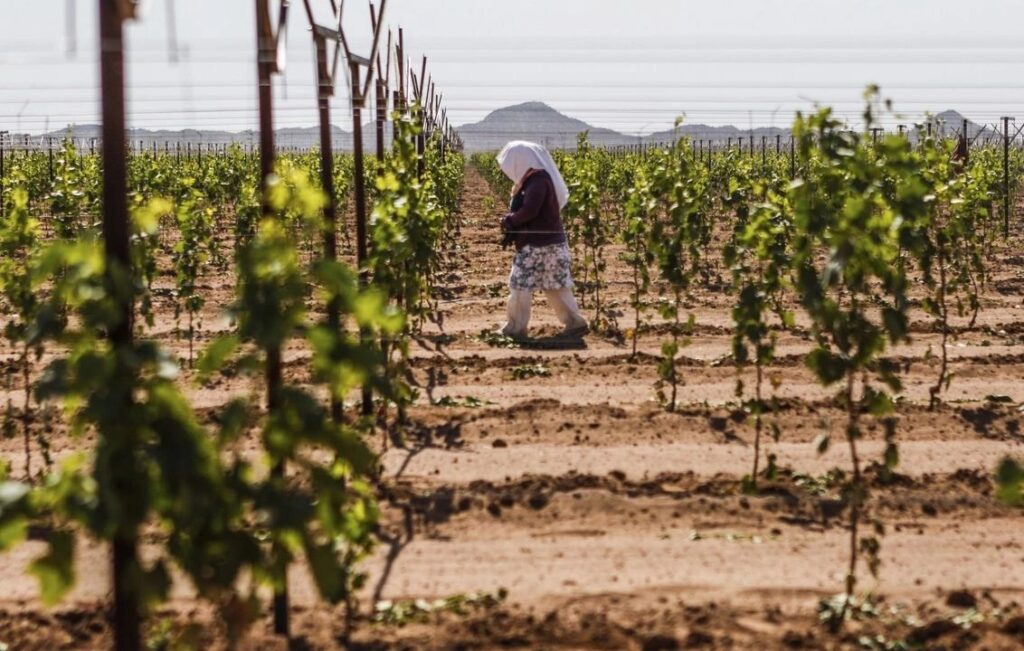 Mujeres rurales carecen de títulos de propiedad de la tierra y ganan menos que los hombres
