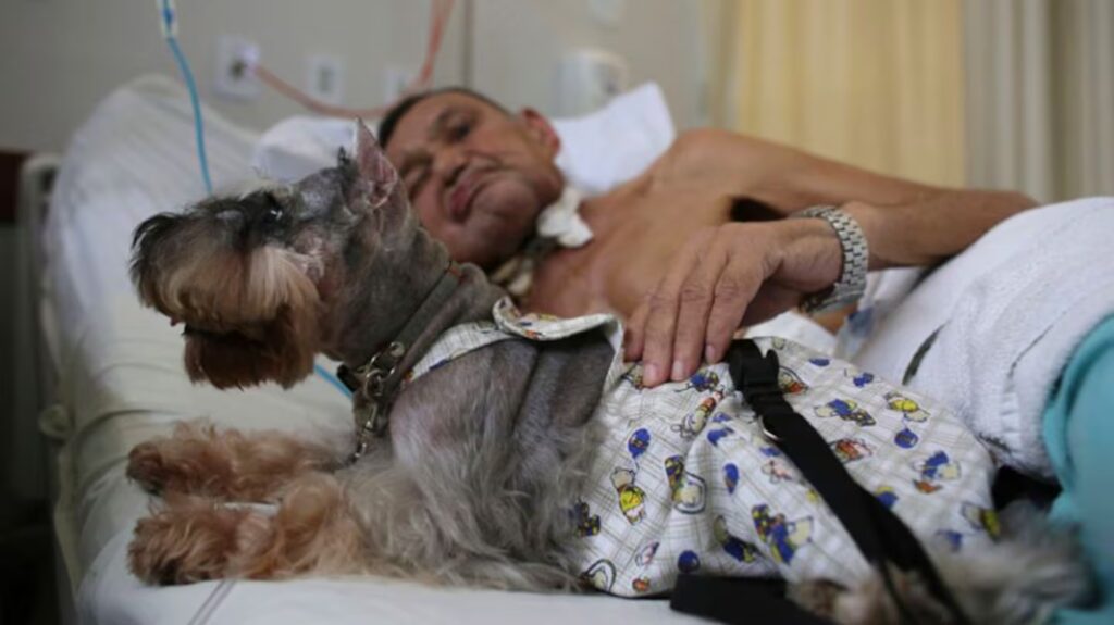 Peludos con propósito: perros entrenados que sanan corazones en hospitales de CDMX