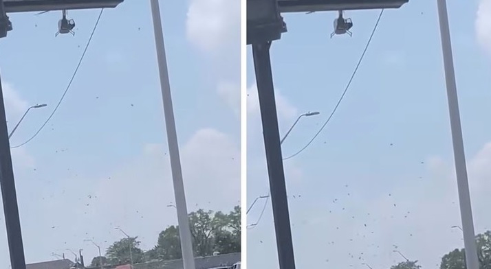 VIDEO: Hombre arroja dinero desde los aires como último deseo antes de fallecer