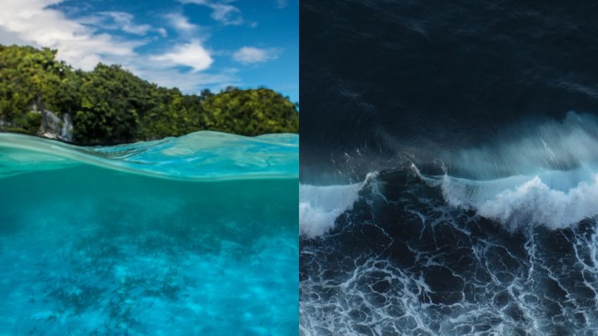 El fenómeno del oscurecimiento oceánico es preocupante