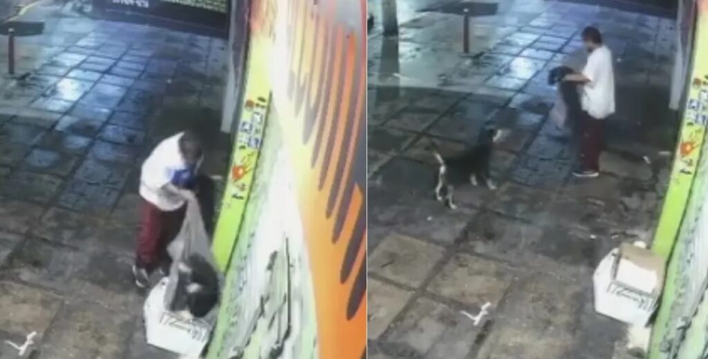 VIDEO: Le roban su cobija a un lomito de la calle y causa indignación