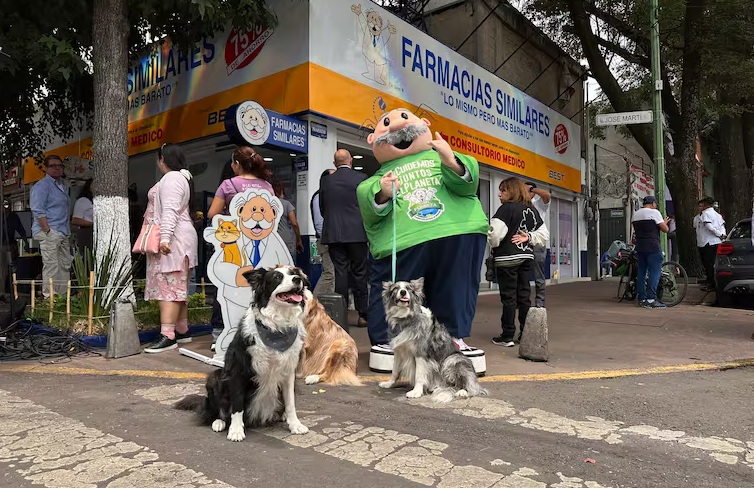Dr. Simi inaugura Simi Pet Care: ¿Qué servicios ofrece para mascotas?