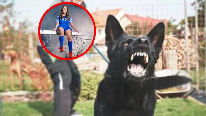 Joven de 15 años es atacada hasta la muerte por 30 perros; intentaba darles de comer
