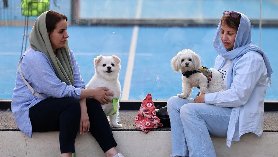 Irán prohíbe pasear a perros porque son «animales impuros»