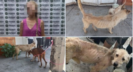 Dictan prisión preventiva a mujer por maltrato animal y hallazgo de restos óseos en su casa