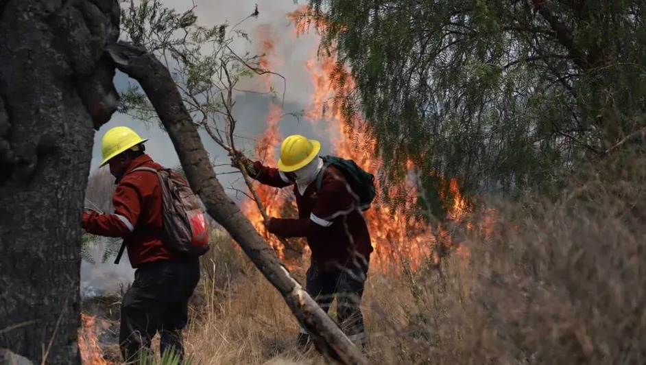 Se mantienen activos 22 incendios forestales en seis estados del país: Conafor