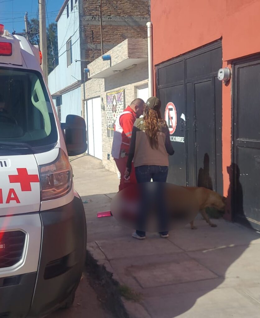 Muere en la calle y su perrito cuida el cadáver