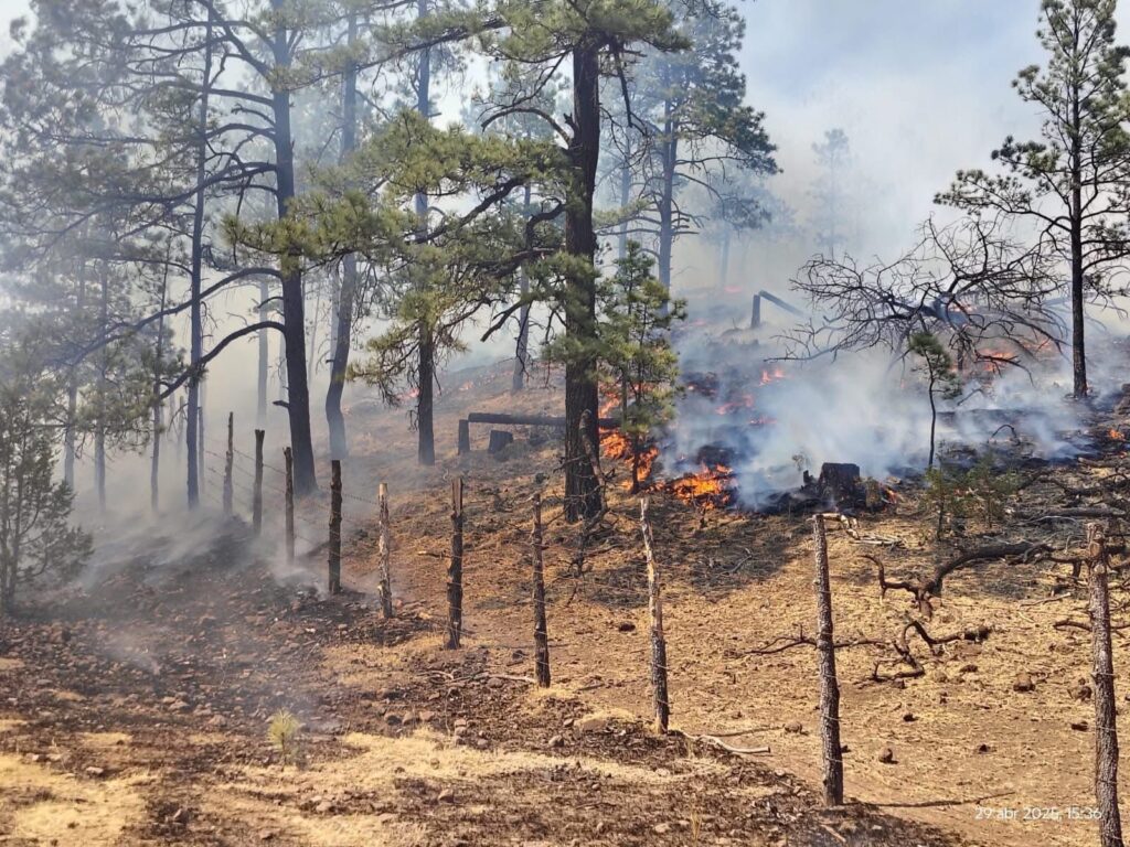 Reporta la Secretaría de Desarrollo Rural 11 incendios forestales activos en la entidad