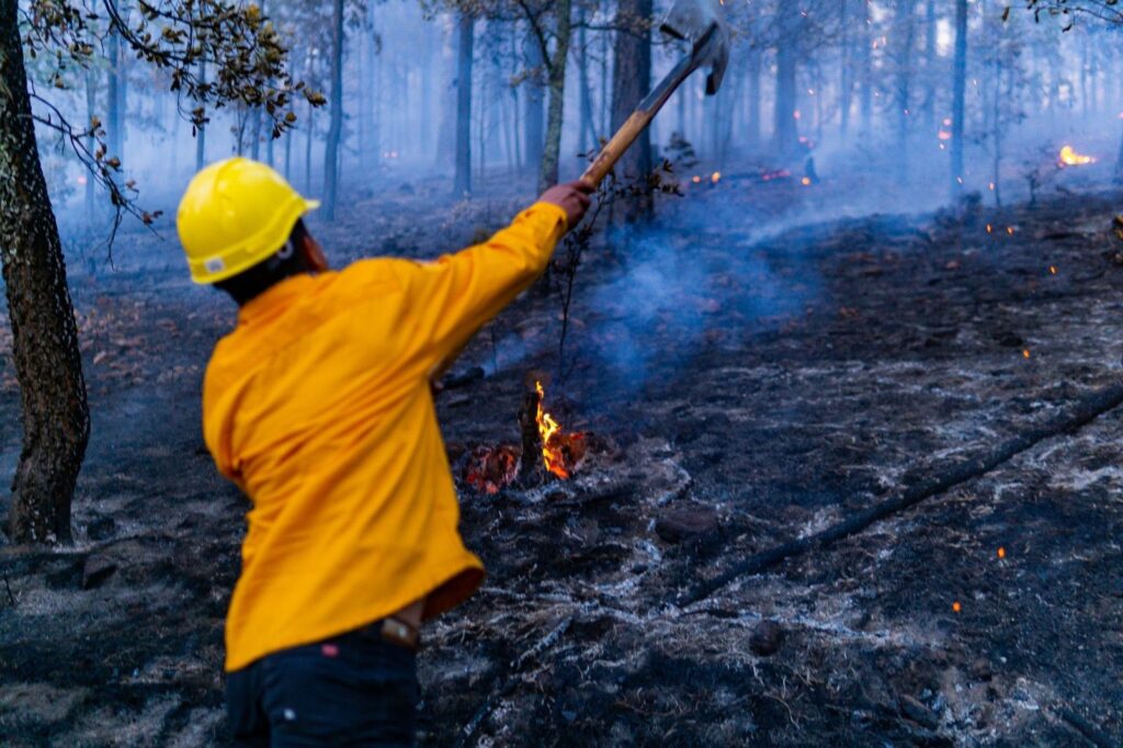 Se han liquidado 500 incendios forestales en el estado durante 2025: SDR