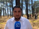 forestal