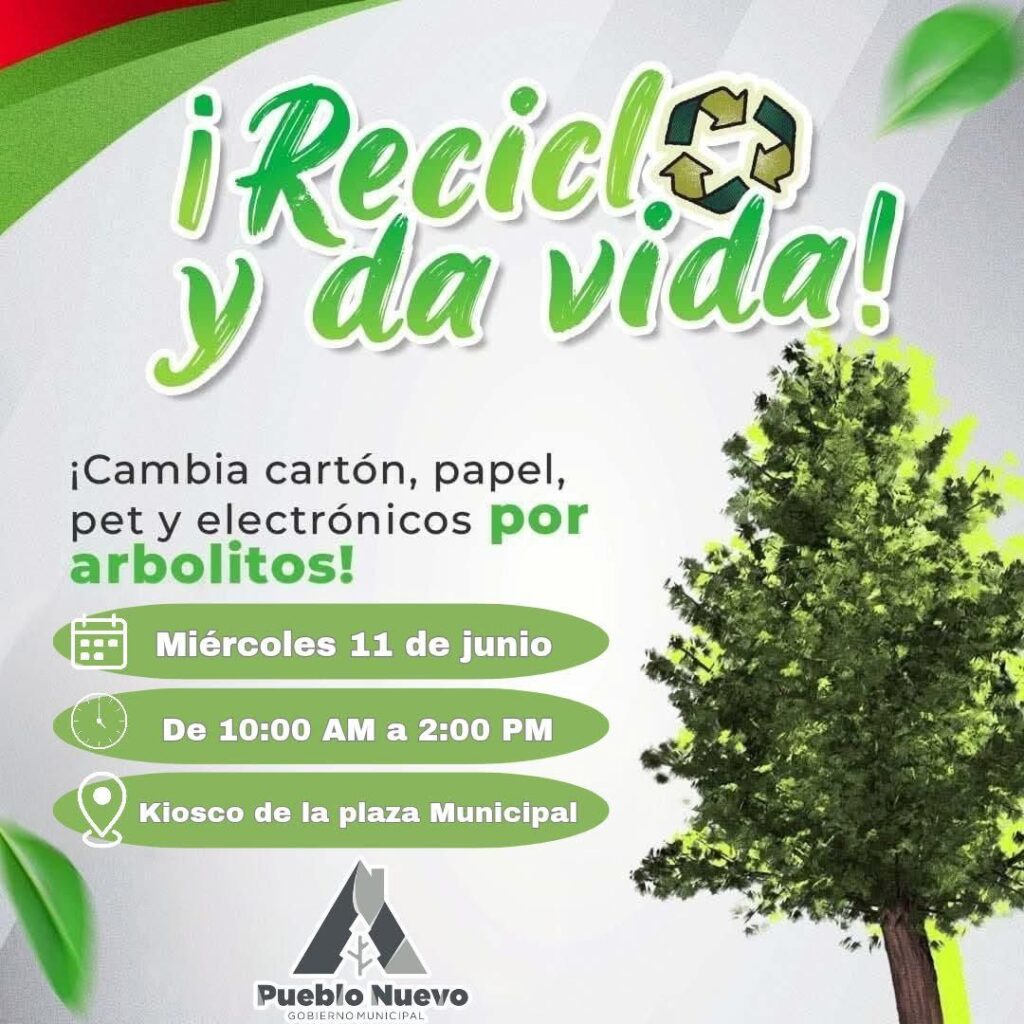 Invitan a reciclar a cambio de árboles   