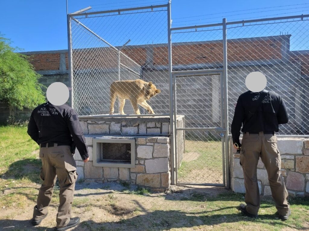 Aseguran un zoológico privado en Durango