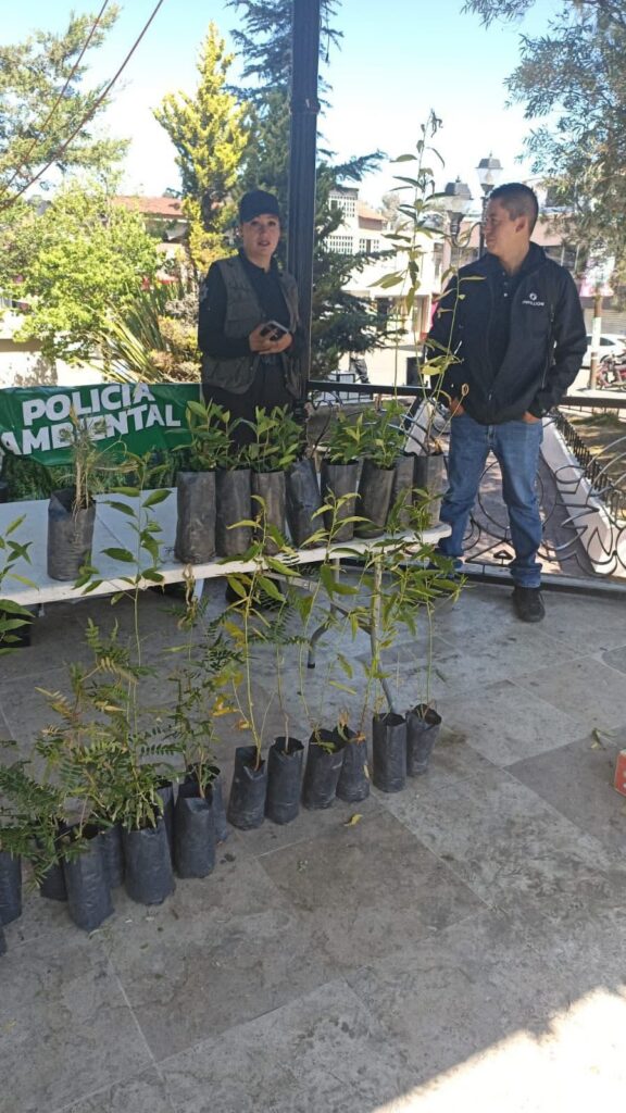 Reciclatón supera expectativas y fomenta cultura ambiental