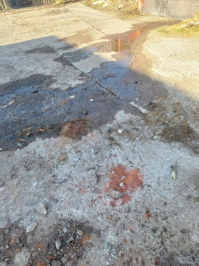 Vecinos Denuncian Desperdicio de Agua en Colonia Morelos