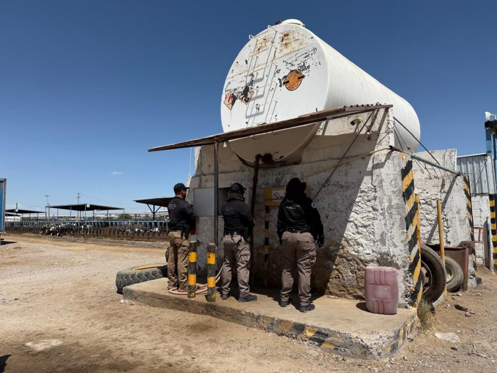 Fuerzas federales aseguran establo en Durango