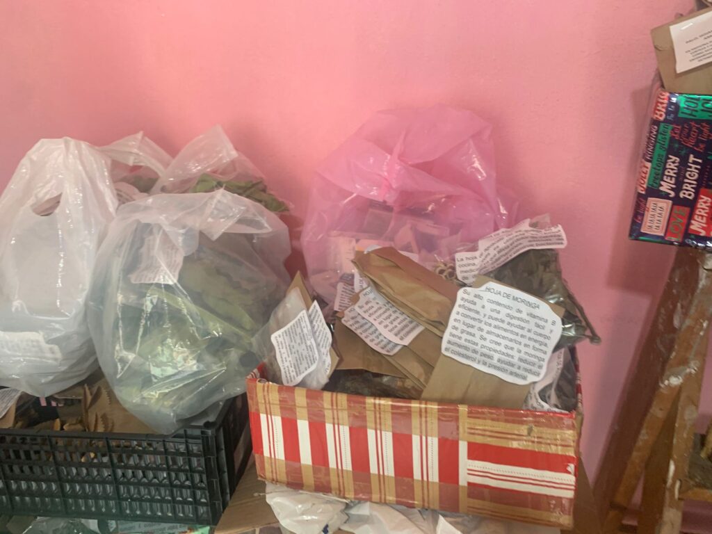 Preparan exposición gratuita de plantas medicinales en El Salto