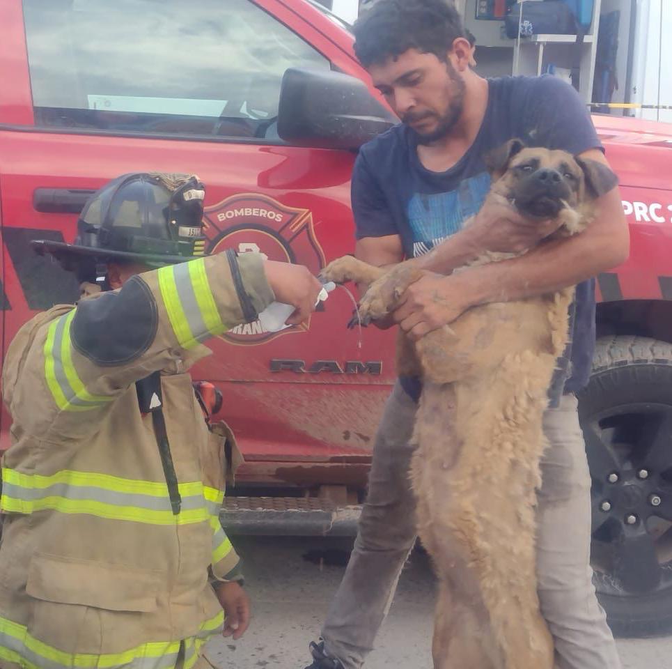 Flamazo dejó a dos personas y un perrito quemados