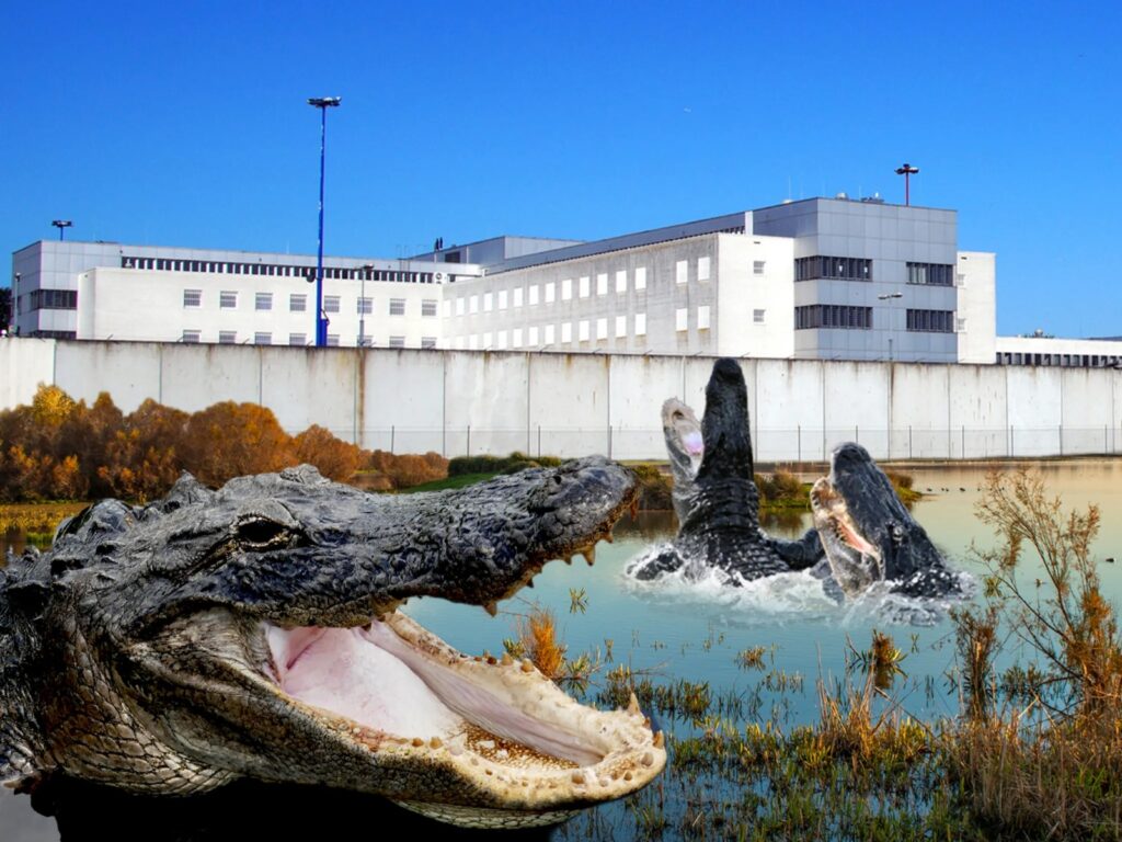Florida planea cárcel ‘Alcatraz Lagarto’ para migrantes