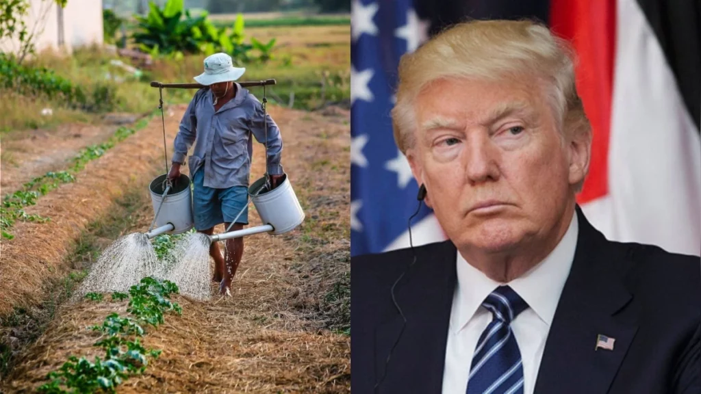 Trump ajustará política migratoria tras quejas de agricultores y hoteleros