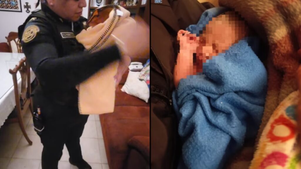 Paseaba con su perro y encontró a una bebé entre arbustos