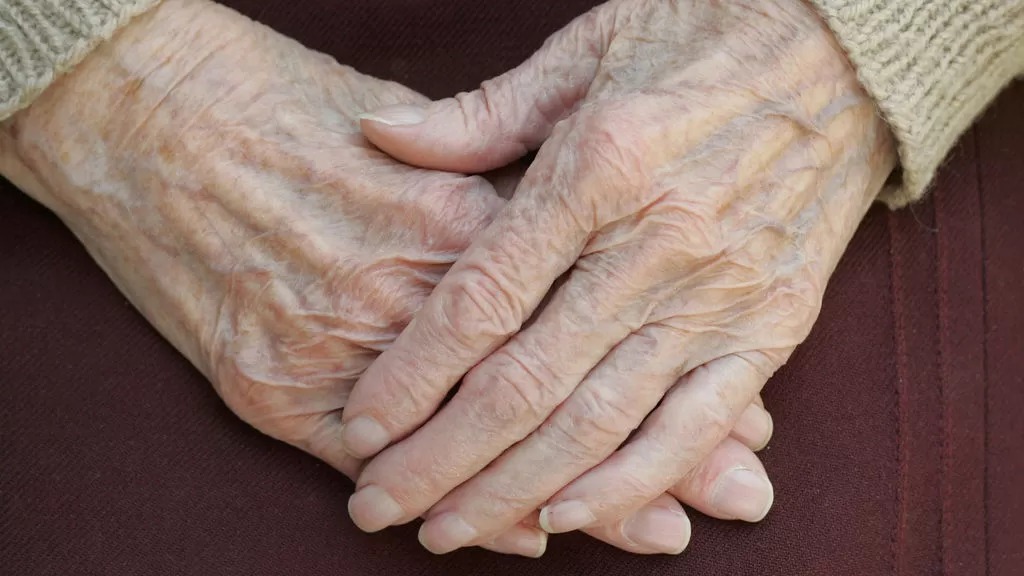 Hombre mató a su suegra de 104 años durante una discusión familiar