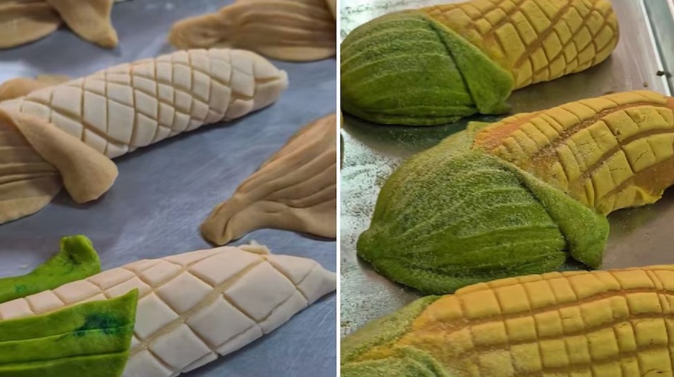 La «Conchalote» conquista México y el mundo con su ingenio y sabor