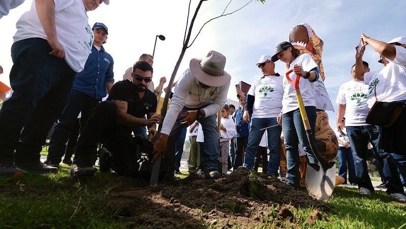 Reabre el Parque Luis Quintanar con jornada de reforestación