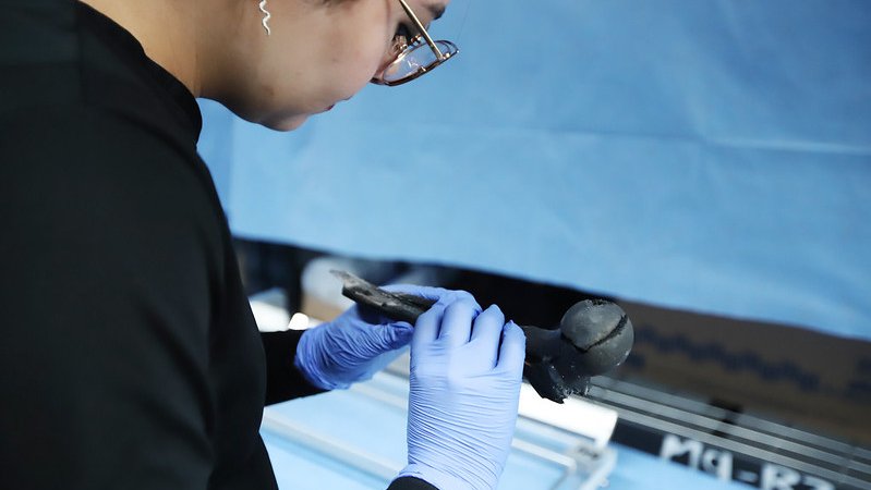 Desarrollan investigación pionera para identificar restos óseos afectados por fuego