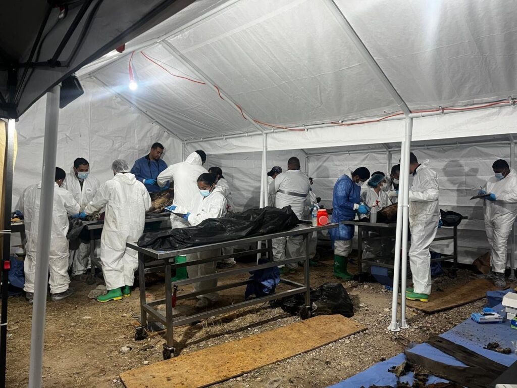 Aumenta a 27 el número de personas identificadas por el caso ‘Plenitud’, hay 3 bebés