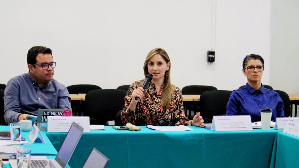 Abren convocatoria para integrar el Consejo de Participación Ciudadana y Popular